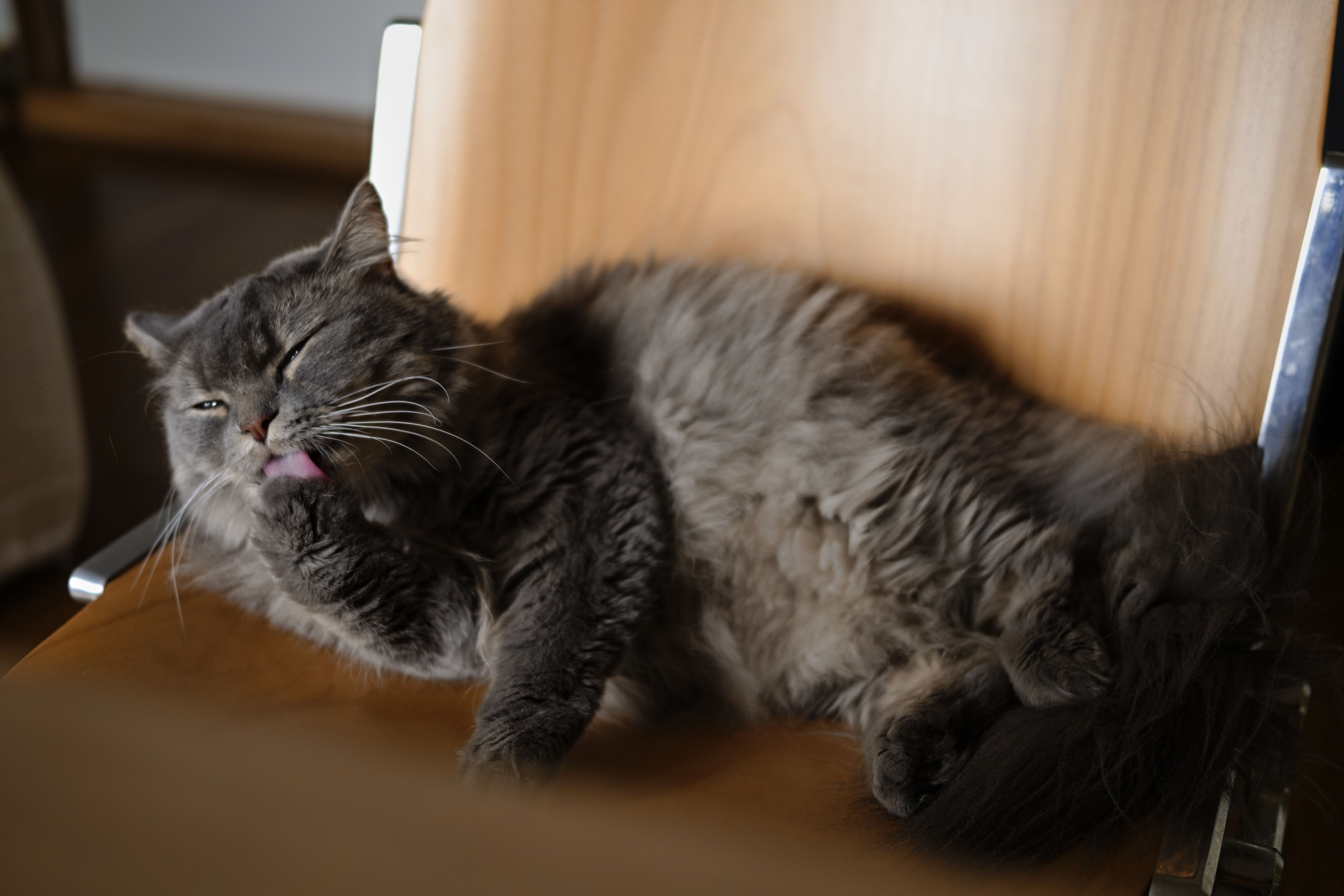 Next.js + PostgreSQL + PrismaのDocker環境構築